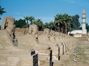Viale delle sfingi